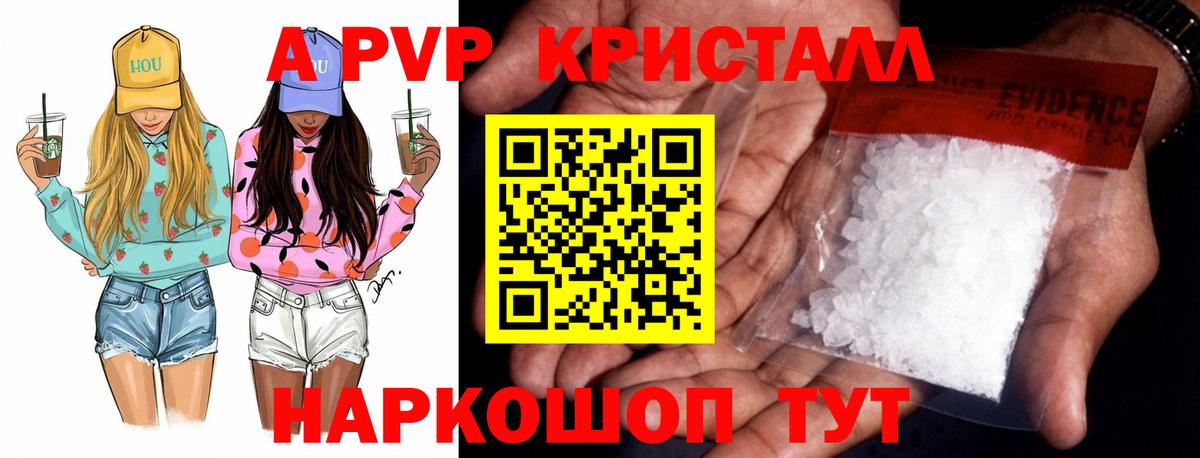 Альфа ПВП СК Мичуринск