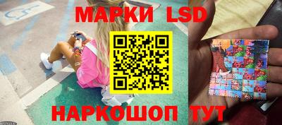 винт Будённовск