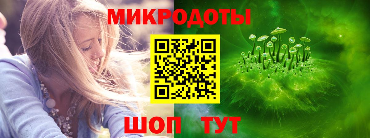 Псилоцибиновые грибы Psilocybe Мичуринск